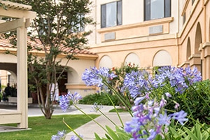 Fountain Valley courtyard