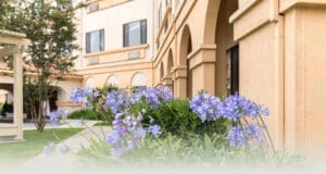 Fountain Valley courtyard