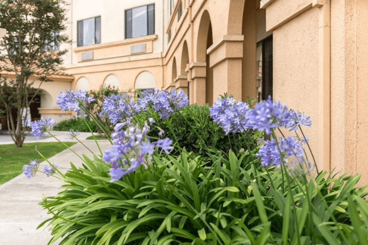 Fountain Valley Post Acute - Web