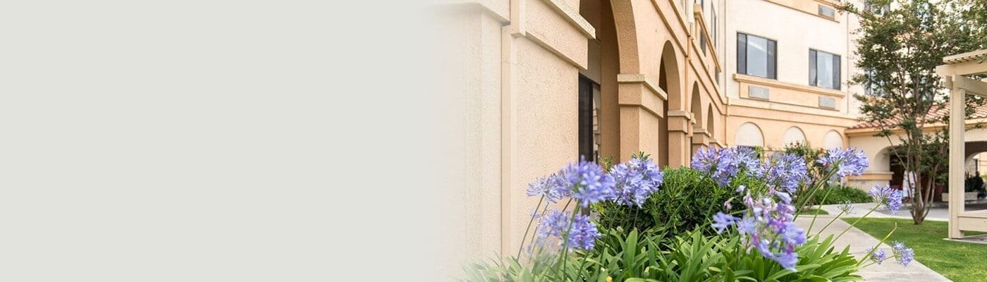 Desktop Background Image